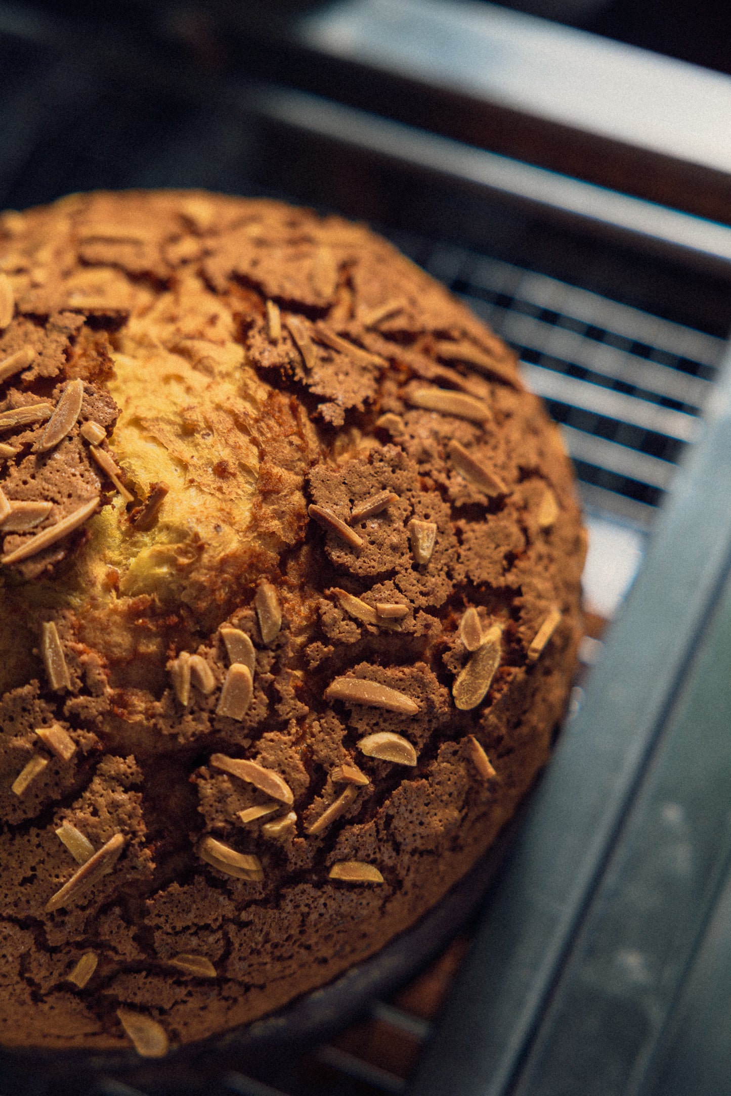 Panettone Torta di riso - Limited Edition