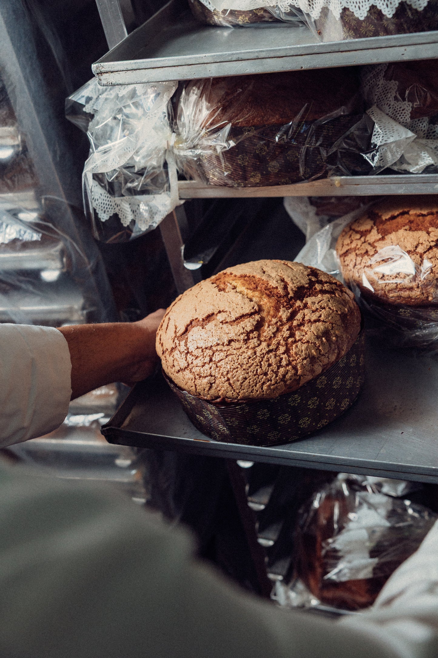 Panetone melanzane e cioccolato - limited edition