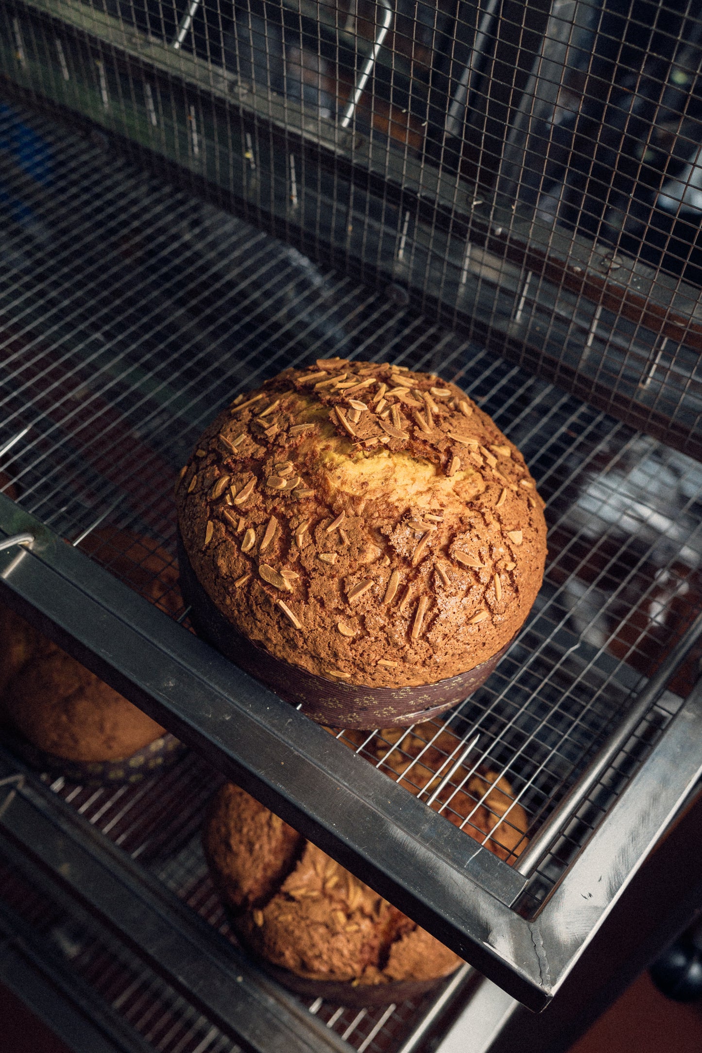 Panettone Torta di riso - Limited Edition