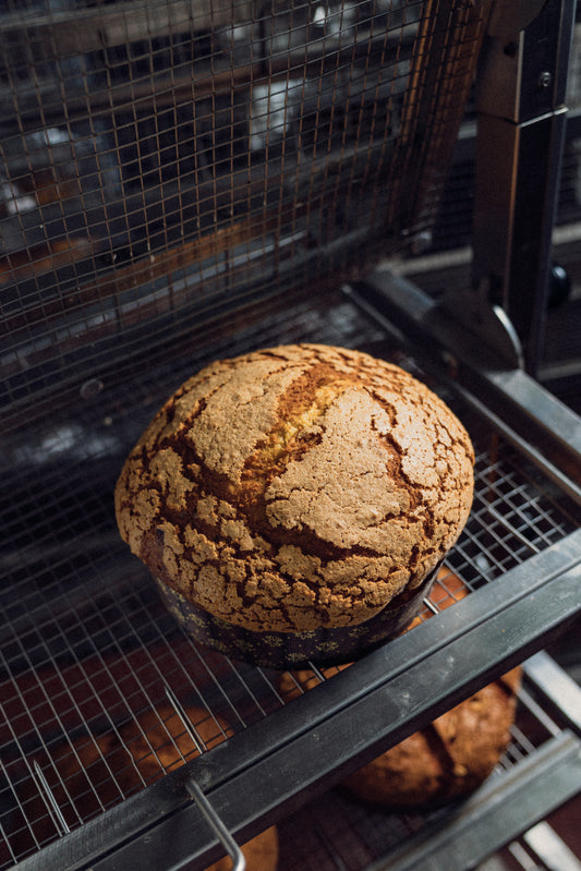 Panetone melanzane e cioccolato - limited edition